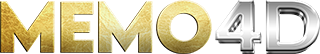 Memo4D